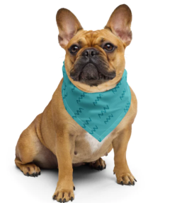 Paws-itively Stylish: The Case for Dog Bandanas