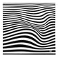 Wavy Zebra